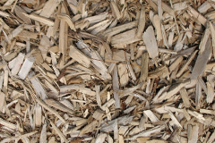 biomass boilers Thorpe Wood